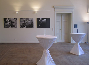 Ausstellung: Anpassung – Villa Henckel, Potsdam, Foto: Ursula Röper